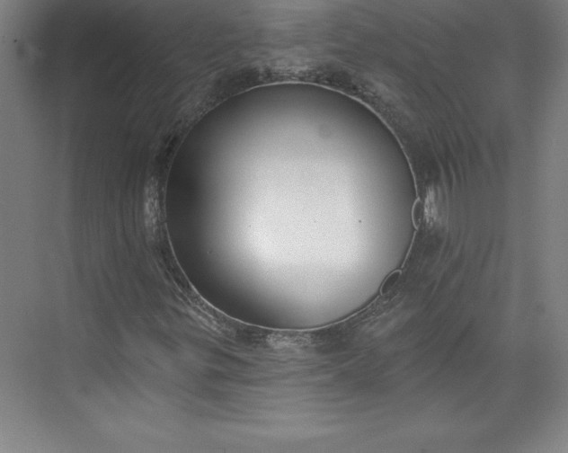 X0000073461299200608111459