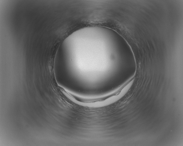 X0000073461300200608111459