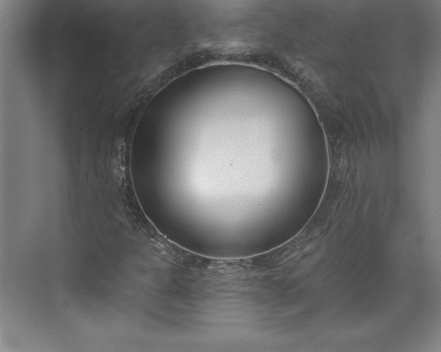 X0000073461301200608111459