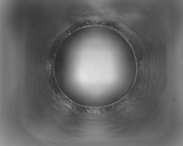 X0000073461302200608111459