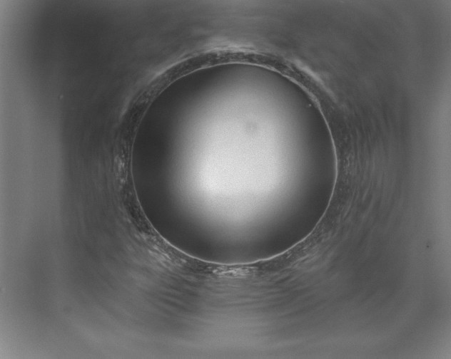 X0000073461303200608111459