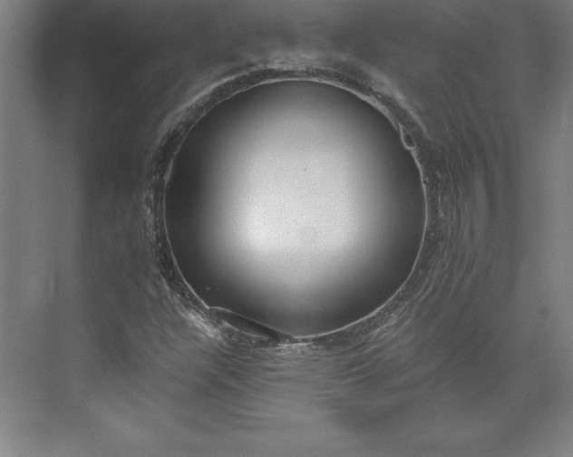 X0000073461304200608111459