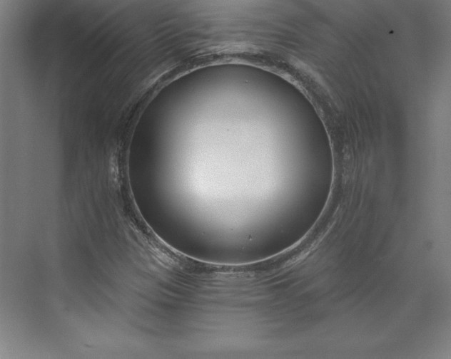 X0000073461305200608111459