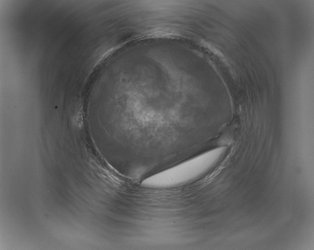 X0000073461306200608111459