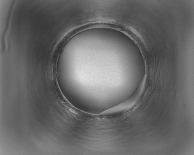 X0000073461310200608111500