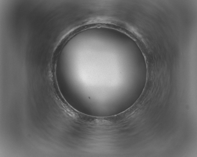 X0000073461312200608111500