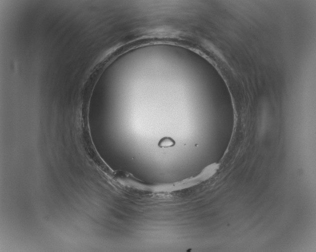 X0000073461315200608111500