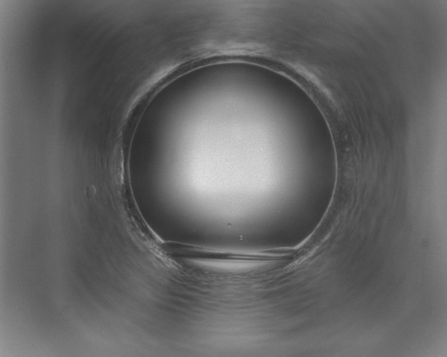 X0000073461317200608111500