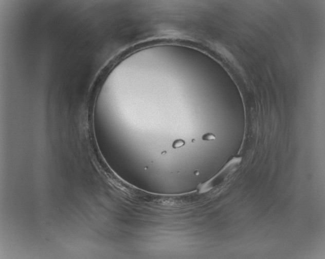 X0000073461318200608111500