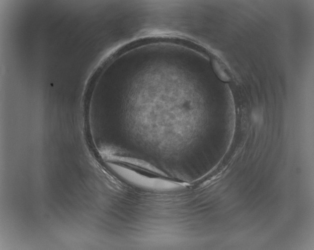 X0000073461319200608111500