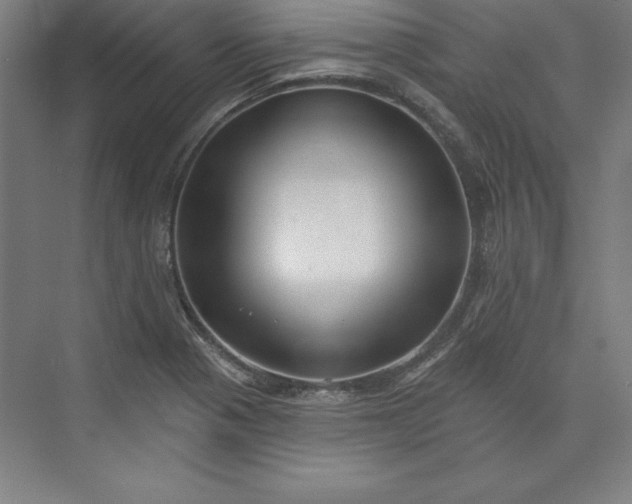 X0000073461321200608111500