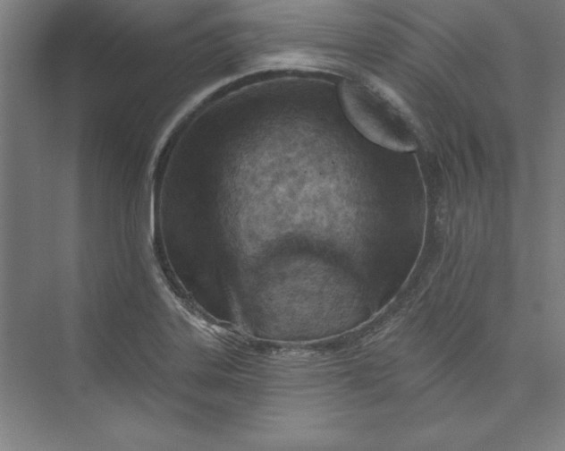 X0000073461323200608111500