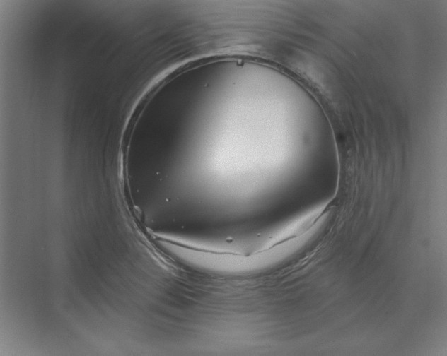 X0000073461324200608111500