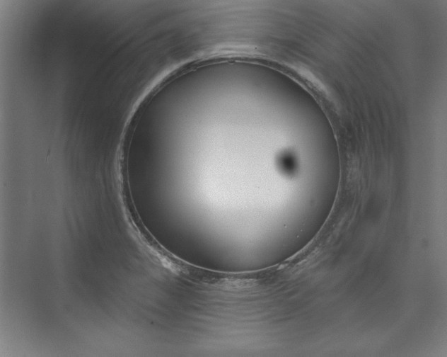 X0000073461325200608111500