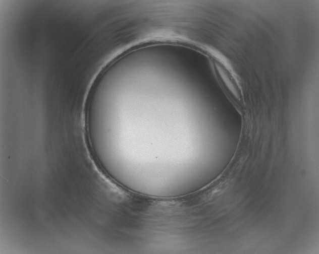 X0000073461335200608111500