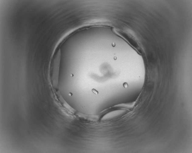 X0000073461336200608111500