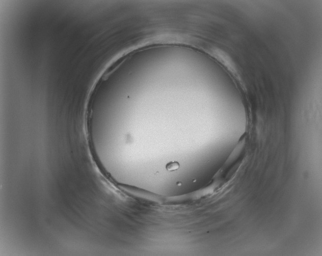 X0000073461342200608111500