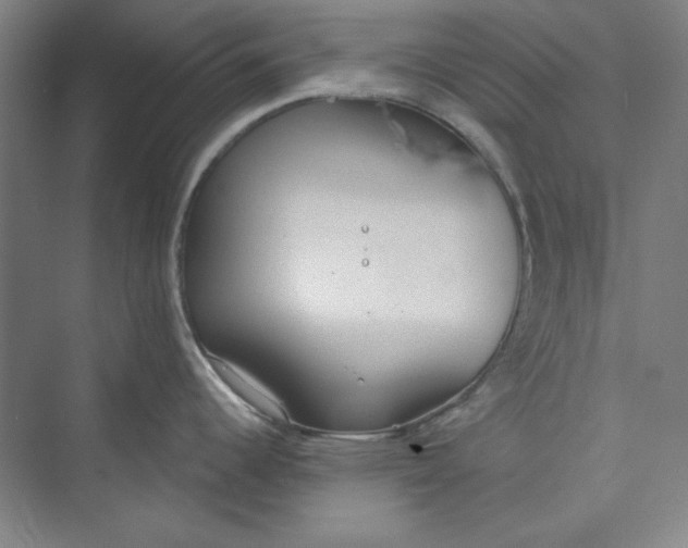 X0000073461344200608111500