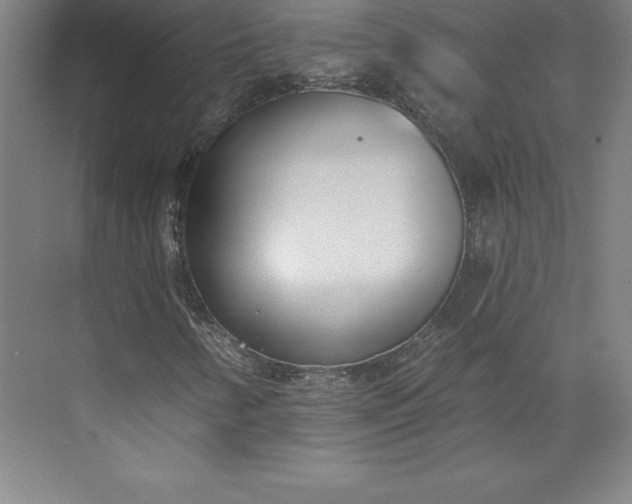 X0000073461346200608111459