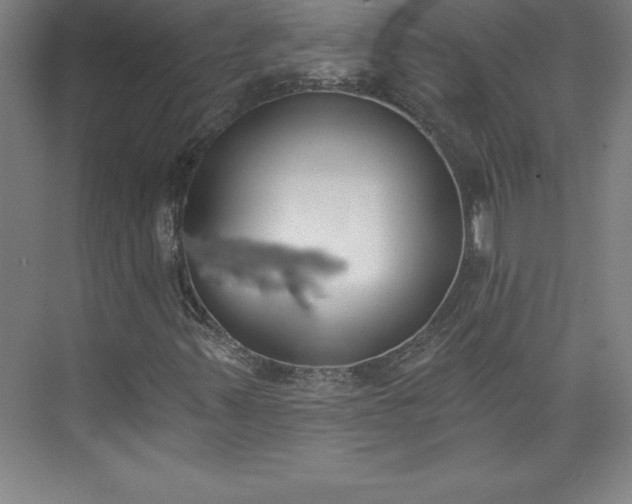 X0000073461347200608111459