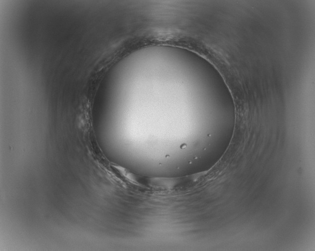 X0000073461349200608111459