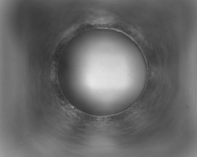 X0000073461350200608111459