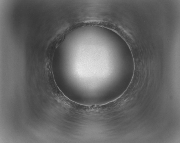 X0000073461351200608111459