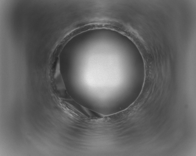 X0000073461352200608111459