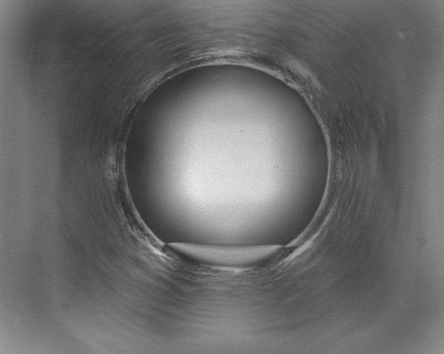 X0000073461353200608111459