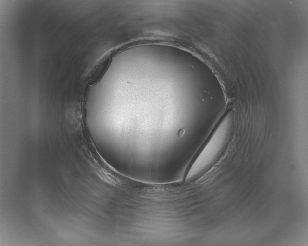 X0000073461355200608111459