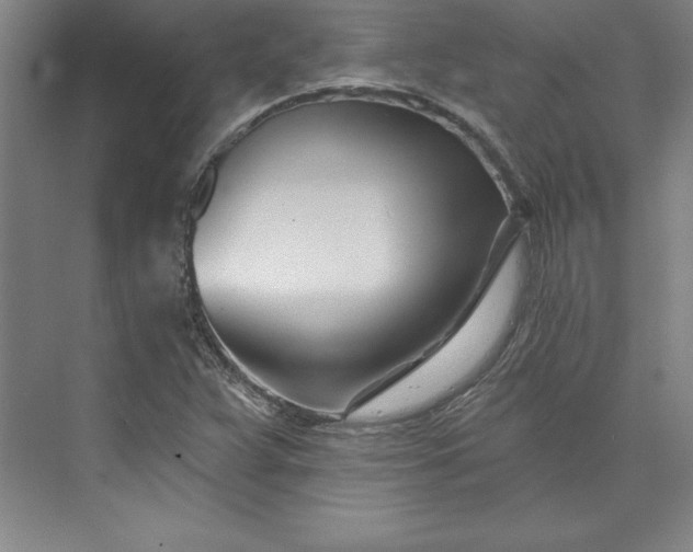 X0000073461359200608111459