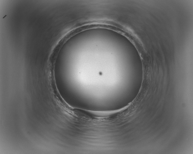 X0000073461360200608111459