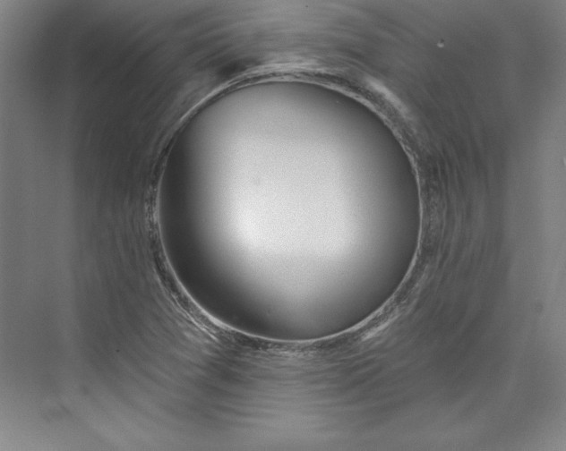 X0000073461361200608111459