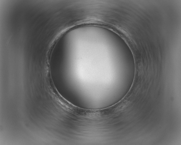 X0000073461363200608111459