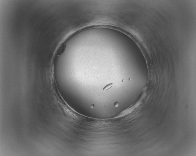 X0000073461366200608111459