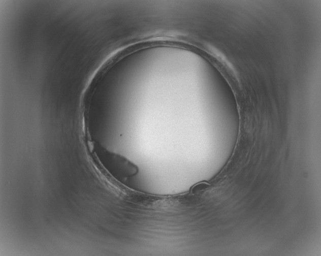 X0000073461368200608111459