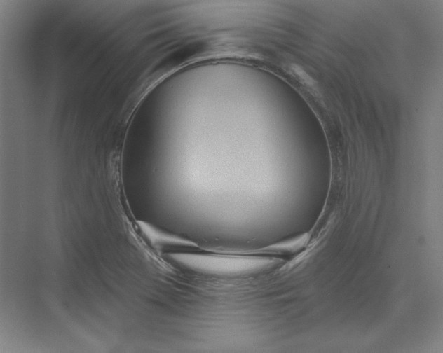 X0000073461369200608111459