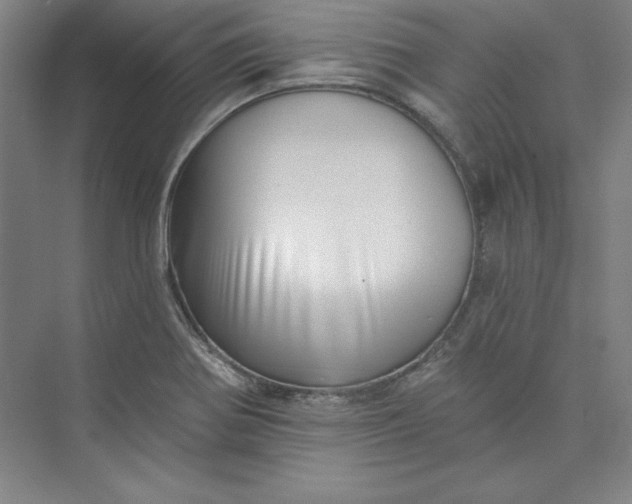 X0000073461370200608111459