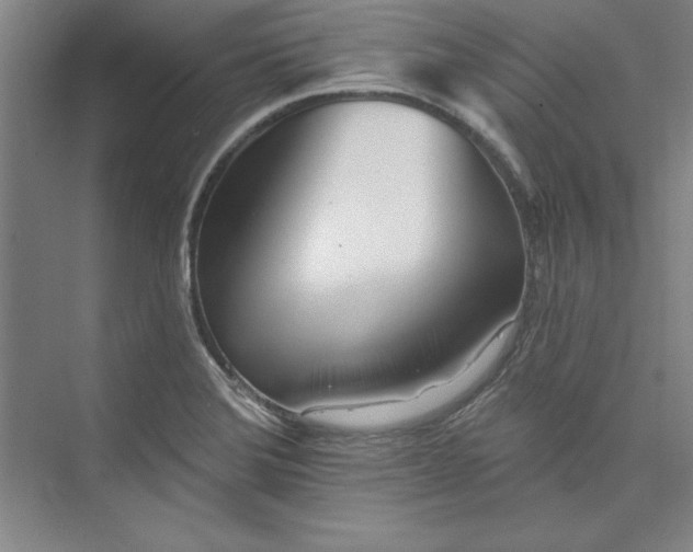 X0000073461372200608111459