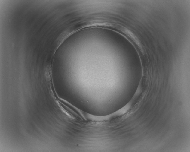 X0000073461377200608111459