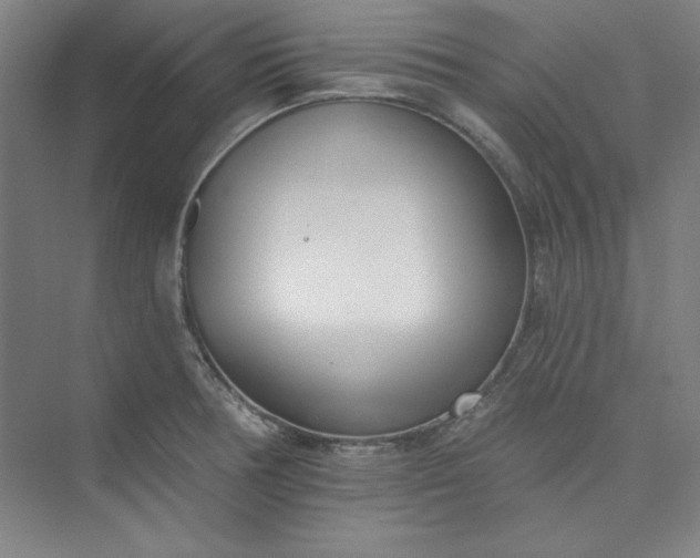 X0000073461378200608111459