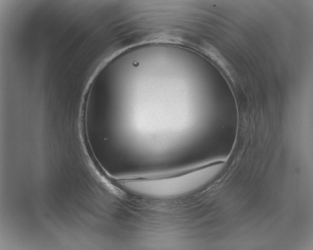 X0000073461379200608111459