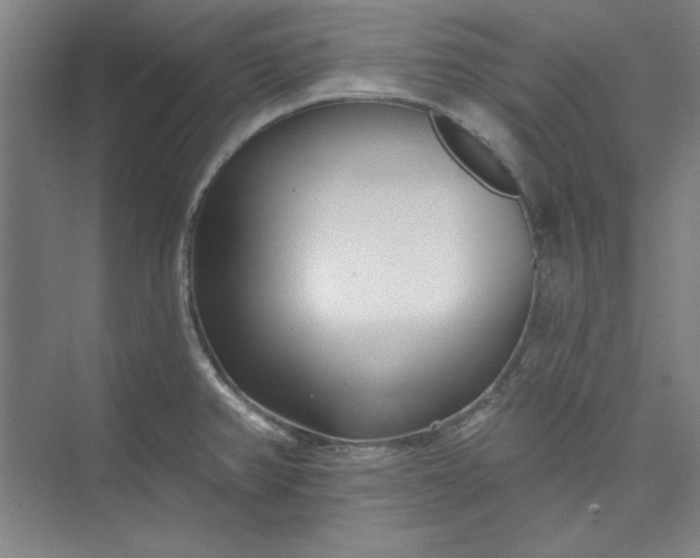 X0000073461382200608111459