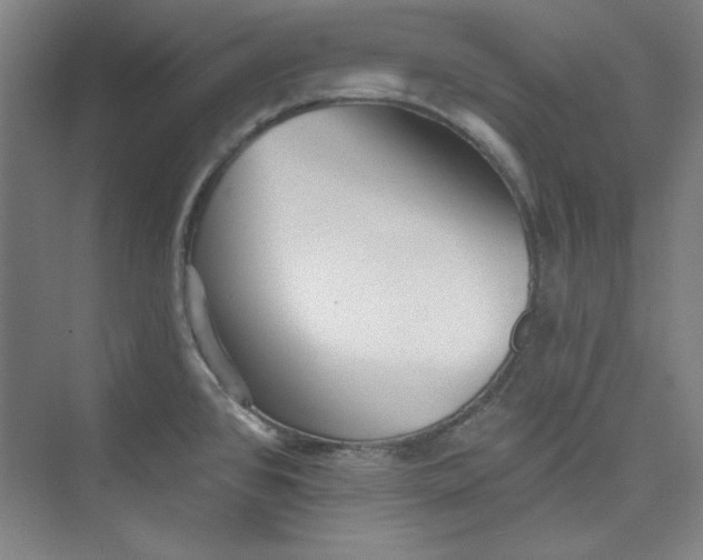 X0000073461384200608111459