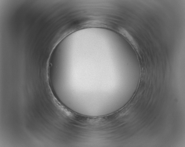 X0000073461386200608111459