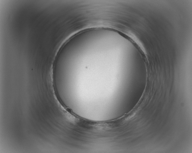 X0000073461388200608111459