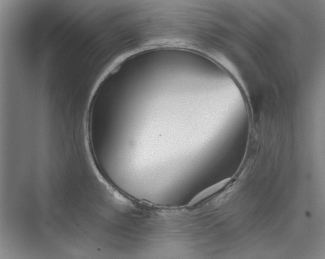 X0000073461389200608111459