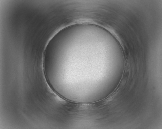 X0000073461390200608111459