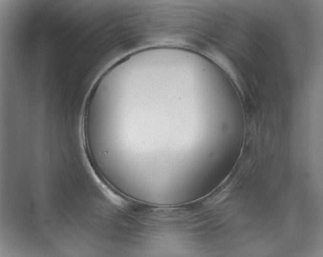 X0000073461391200608111459