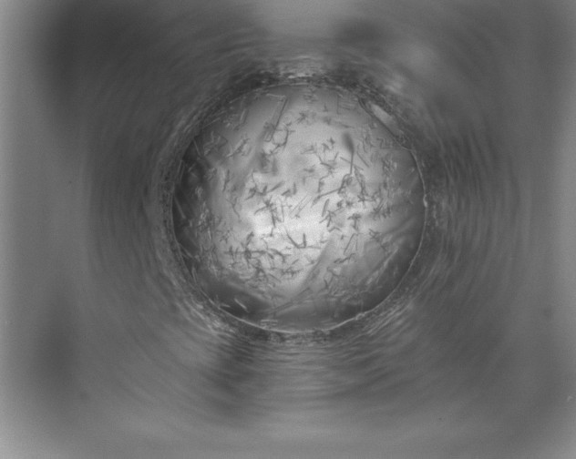 X0000073461393200608111458